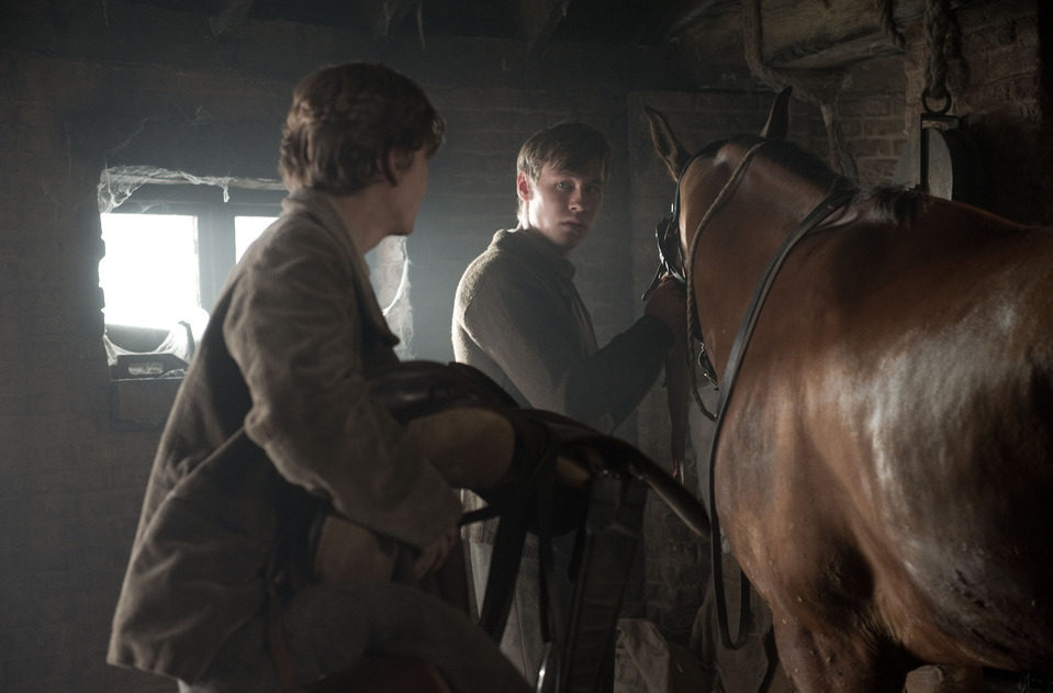 War Horse (Caballo de batalla)