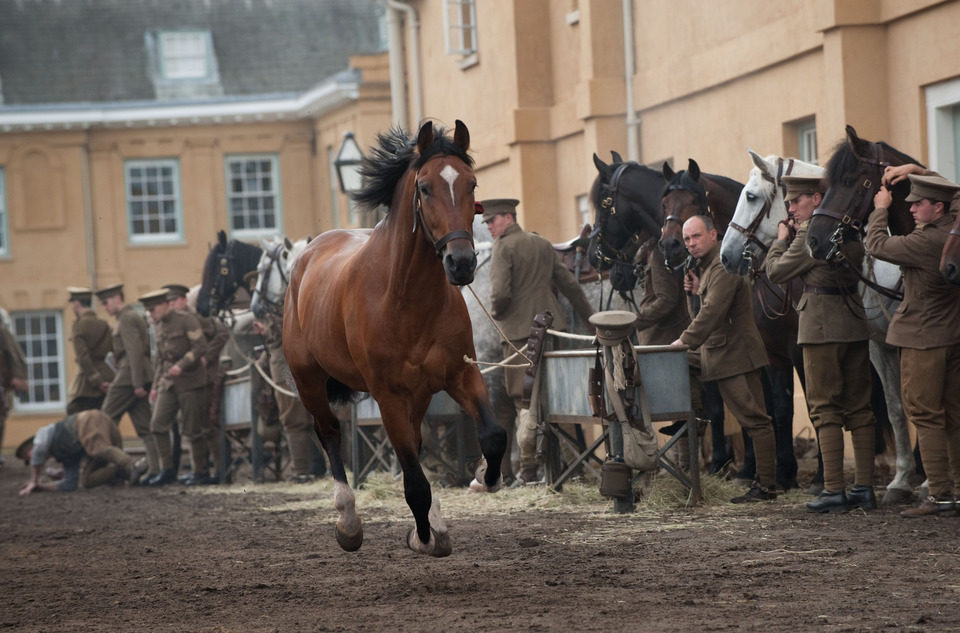 War Horse (Caballo de batalla)