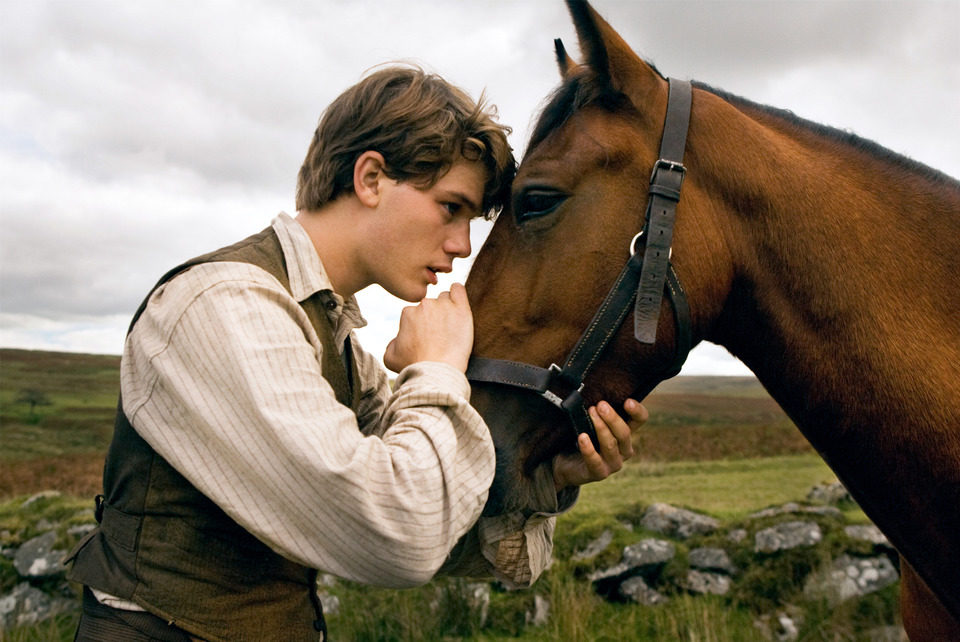 War Horse (Caballo de batalla)