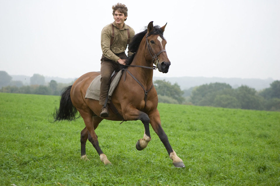 War Horse (Caballo de batalla)