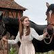 War Horse (Caballo de batalla)