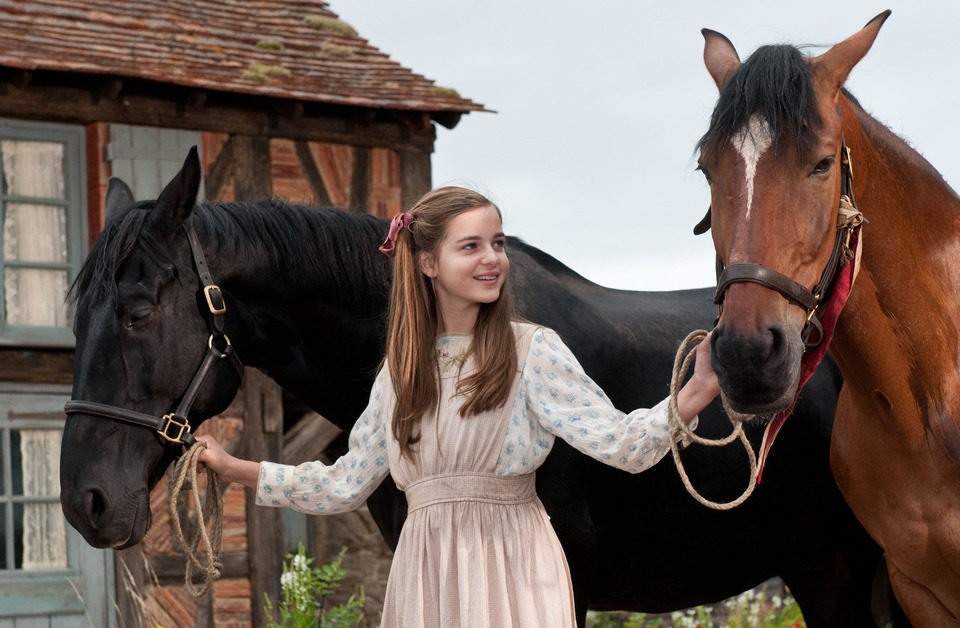 War Horse (Caballo de batalla)