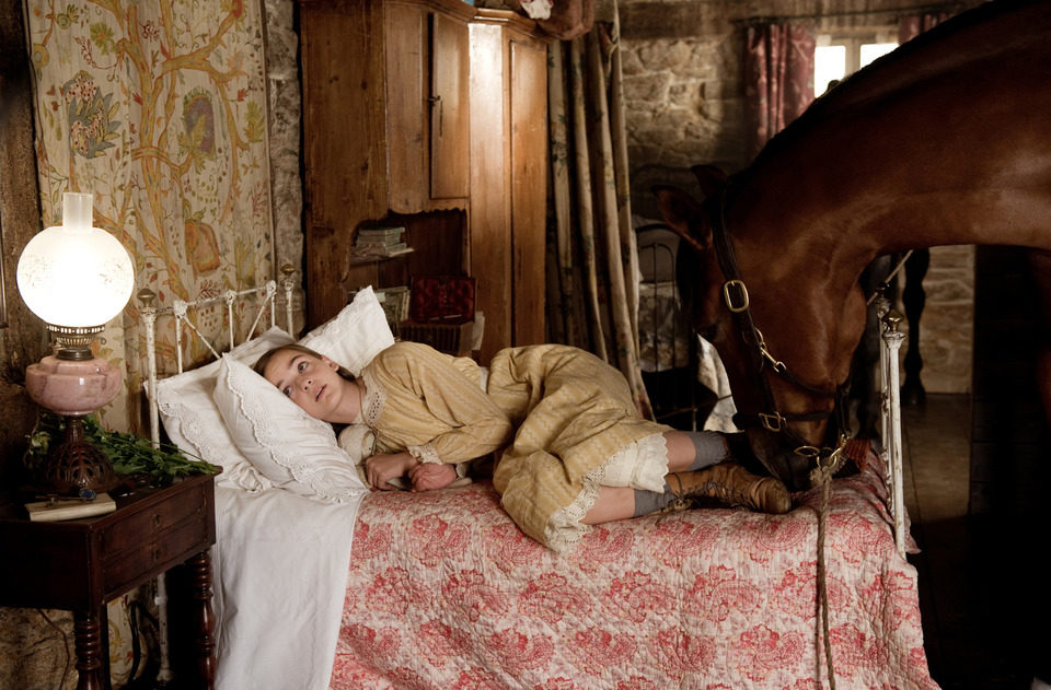 War Horse (Caballo de batalla)