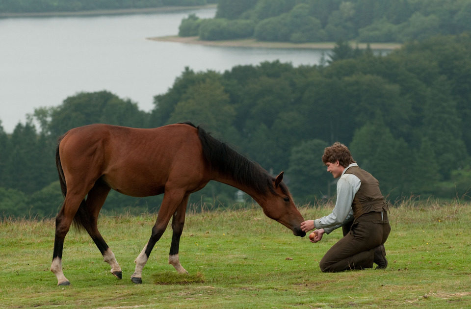War Horse (Caballo de batalla)
