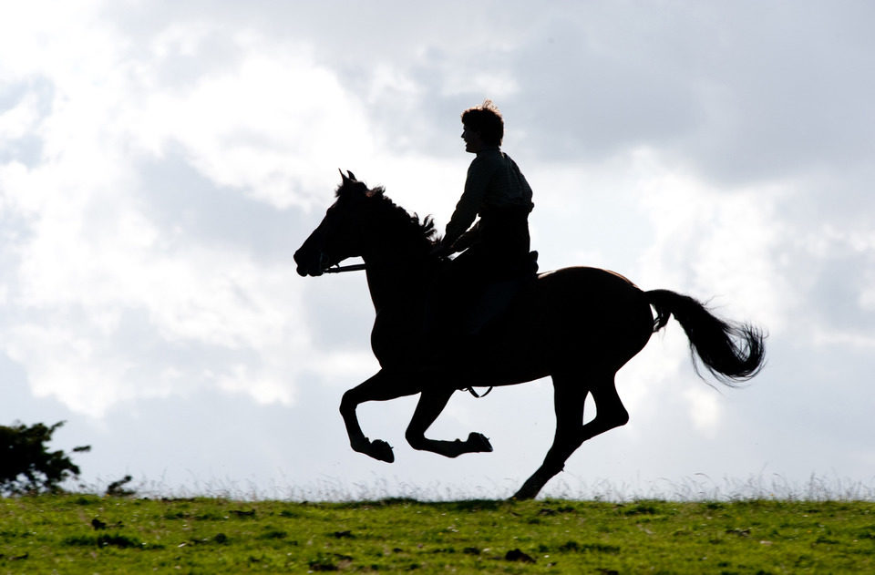 War Horse (Caballo de batalla)