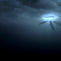 Una aventura extraordinaria