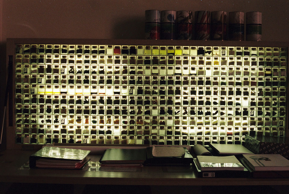 El Bulli: Cooking in Progress