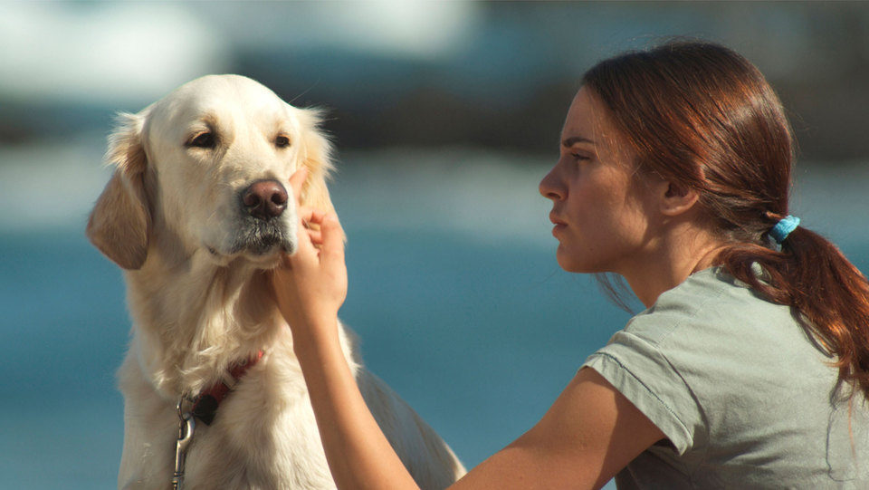 Seis puntos sobre Emma