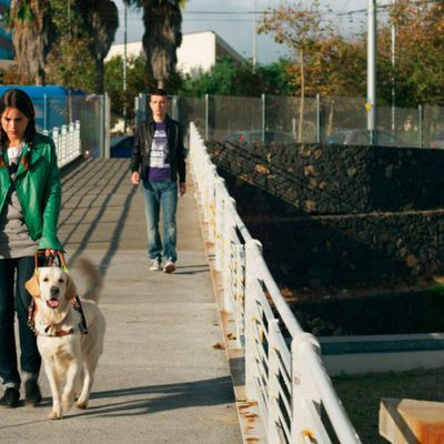 Seis puntos sobre Emma