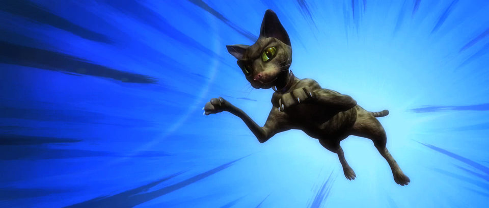 Plumíferos, aventuras voladoras