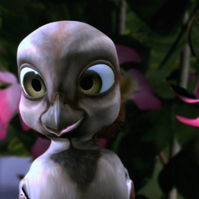 Plumíferos, aventuras voladoras