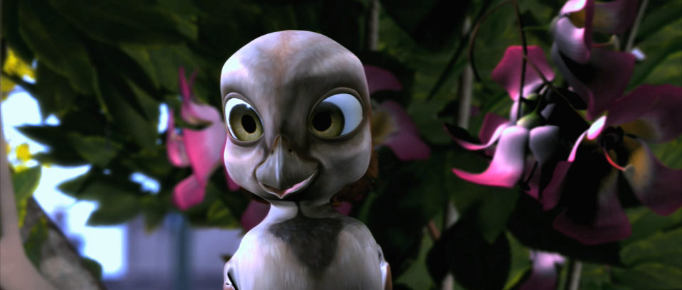 Plumíferos, aventuras voladoras