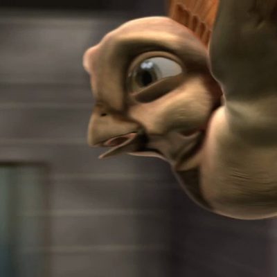 Plumíferos, aventuras voladoras