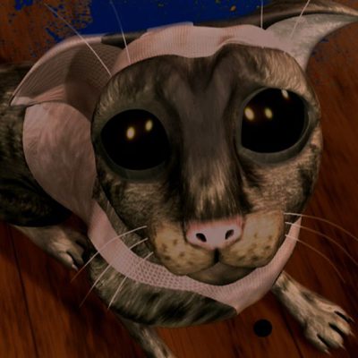 Plumíferos, aventuras voladoras