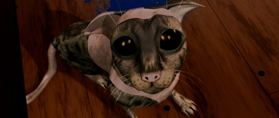 Plumíferos, aventuras voladoras