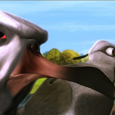 Plumíferos, aventuras voladoras