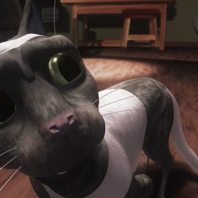 Plumíferos, aventuras voladoras