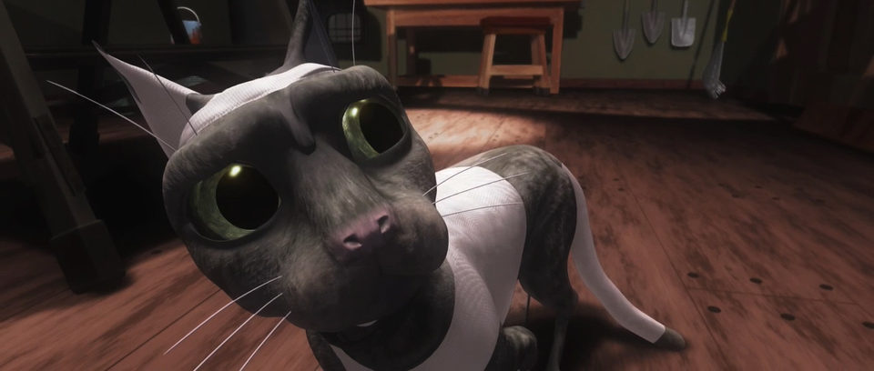 Plumíferos, aventuras voladoras