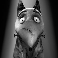 Sparky, de 'Frankenweenie'