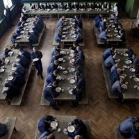 La isla de los olvidados