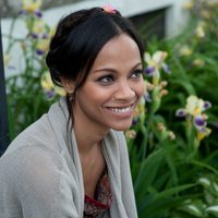 El ladrón de palabras