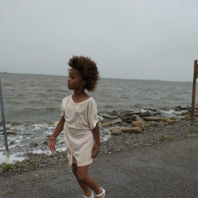 Bestias del sur salvaje