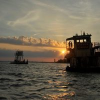 Bestias del sur salvaje