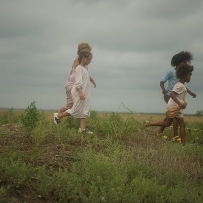 Bestias del sur salvaje