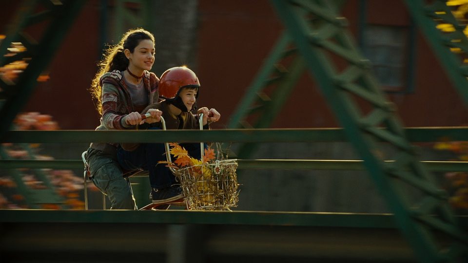 La extraña vida de Timothy Green
