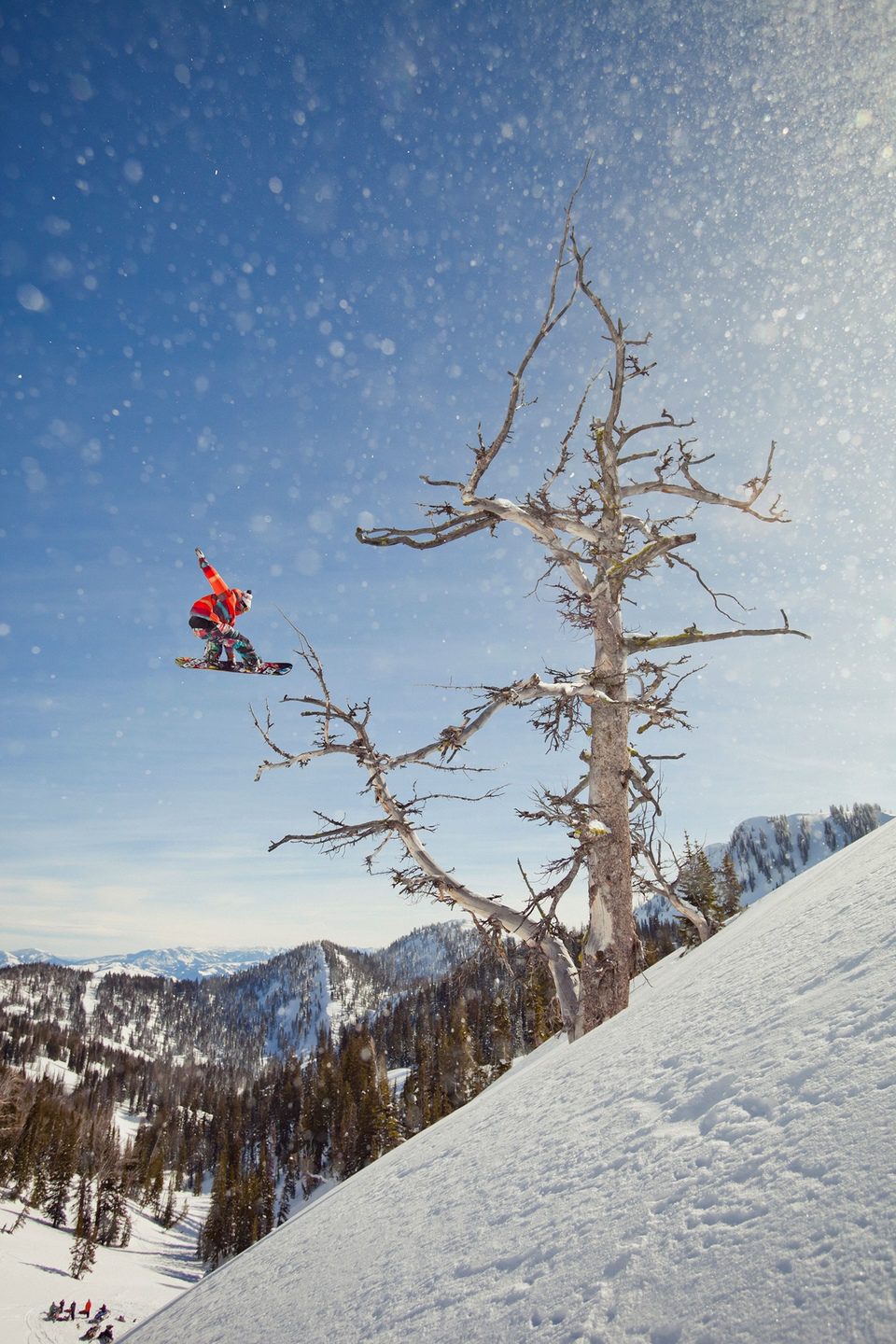 The Art of Flight