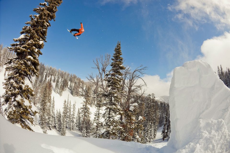 The Art of Flight