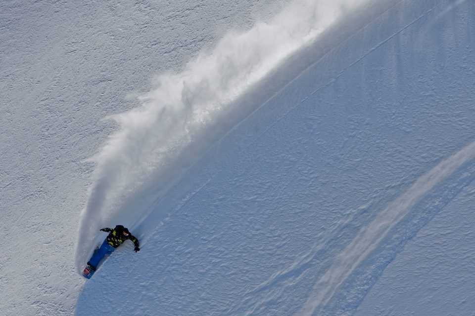 The Art of Flight