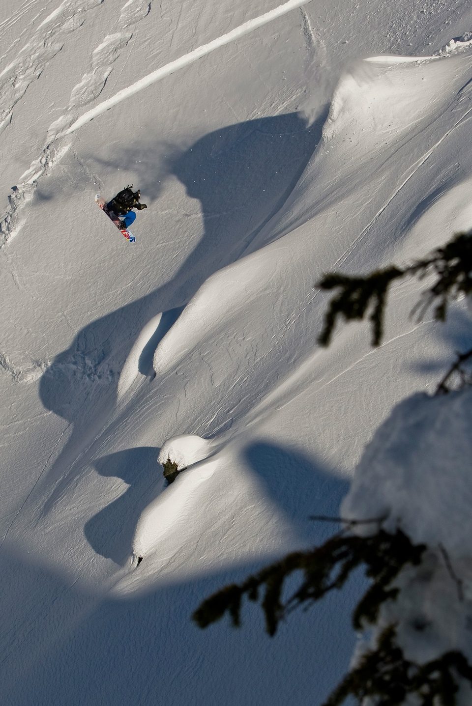 The Art of Flight