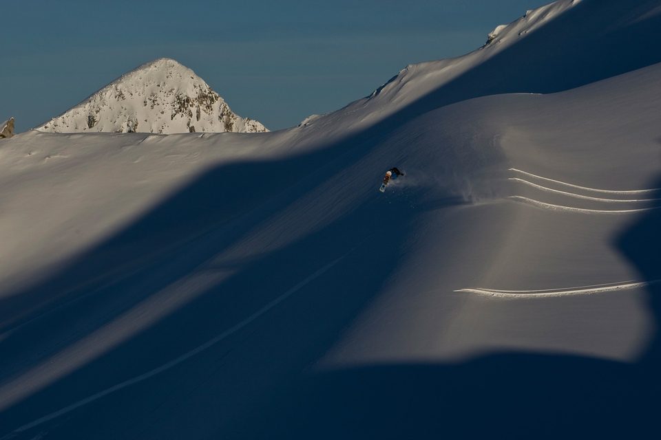 The Art of Flight