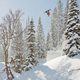 The Art of Flight