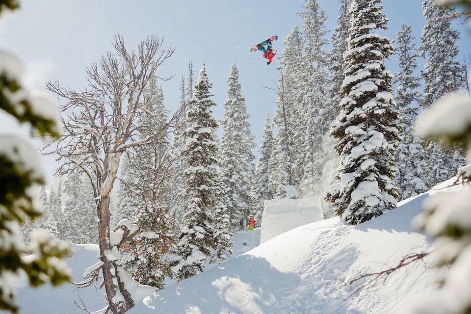 The Art of Flight