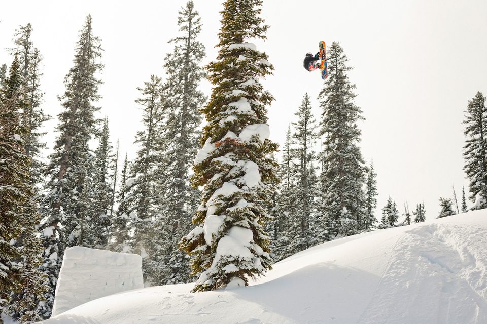 The Art of Flight