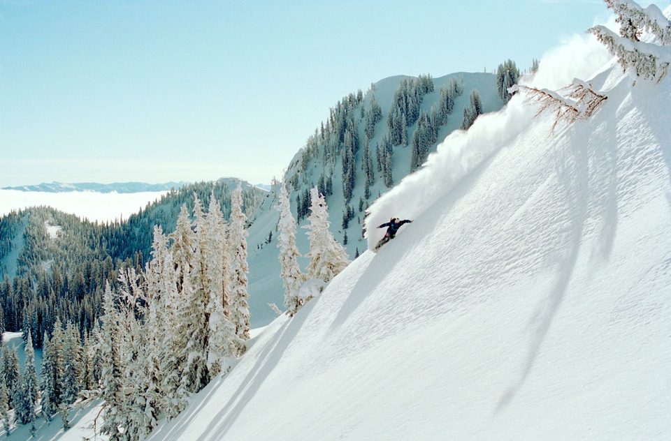 The Art of Flight