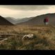 Turistas (Sightseers)
