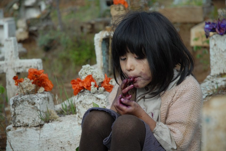 Violeta se fue a los cielos