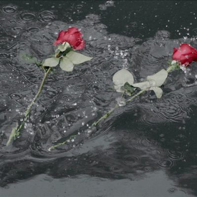 Amaren eskuak (Las manos de mi madre)