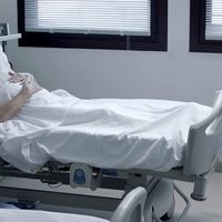 Amaren eskuak (Las manos de mi madre)