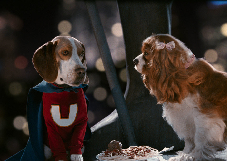 Superdog
