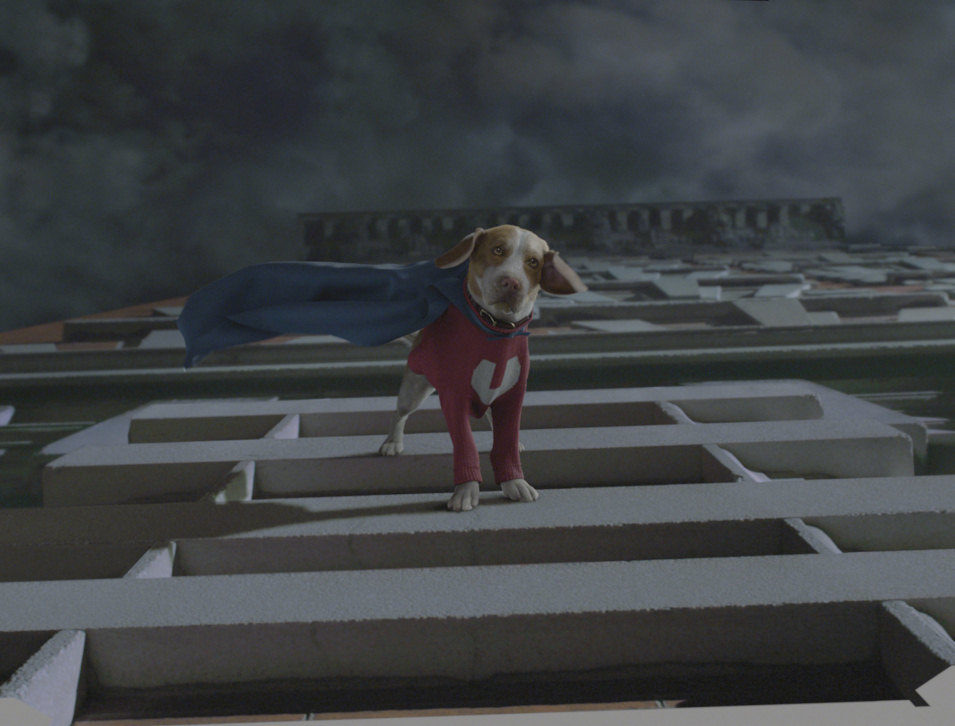 Superdog
