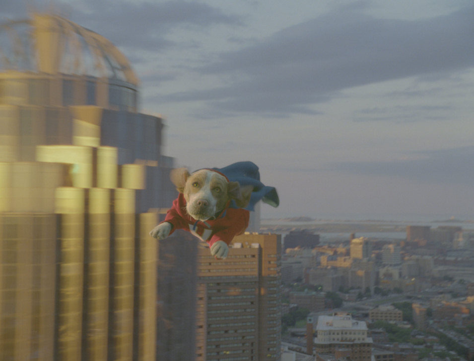 Superdog