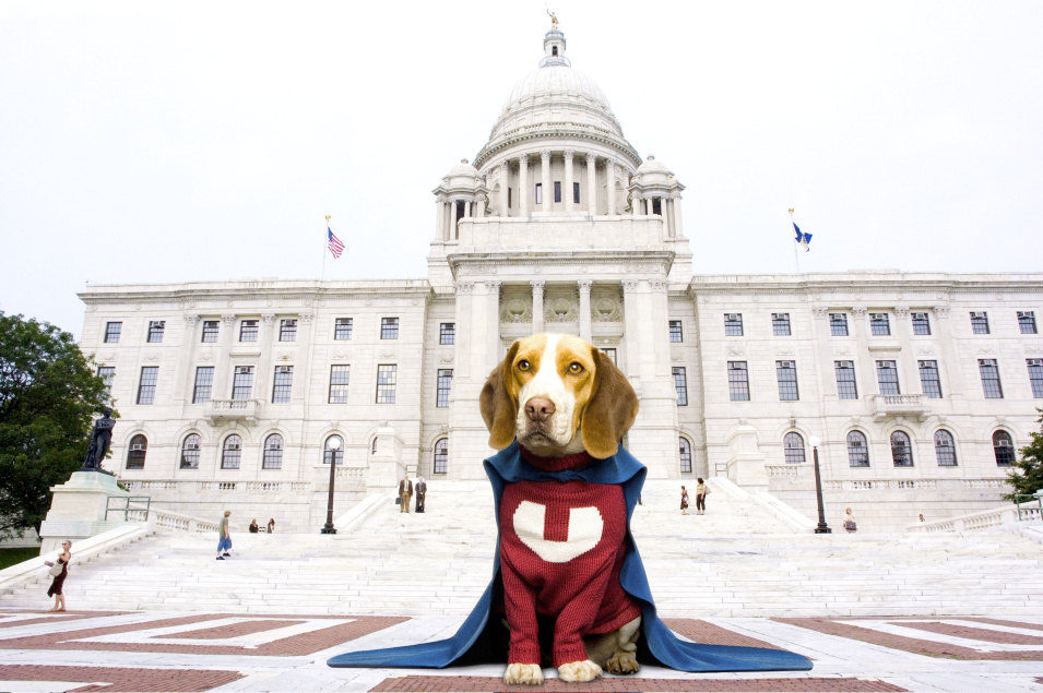 Superdog