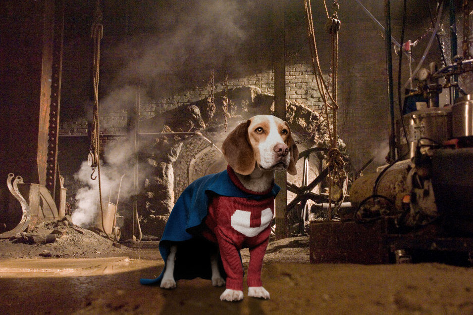 Superdog