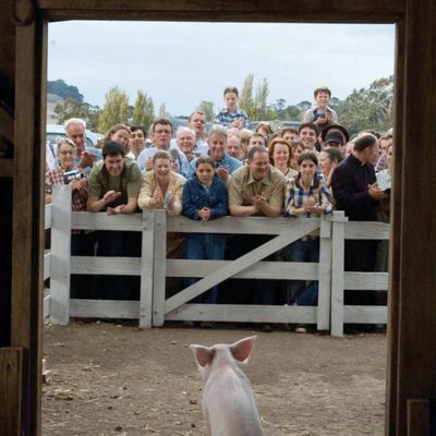 La telaraña de Carlota