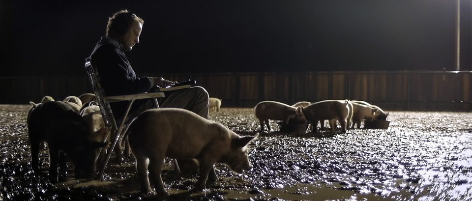 Upstream Color