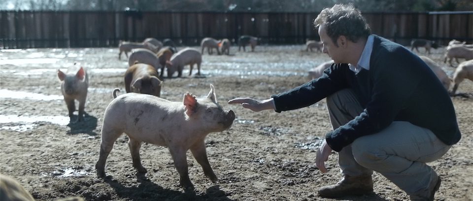 Upstream Color